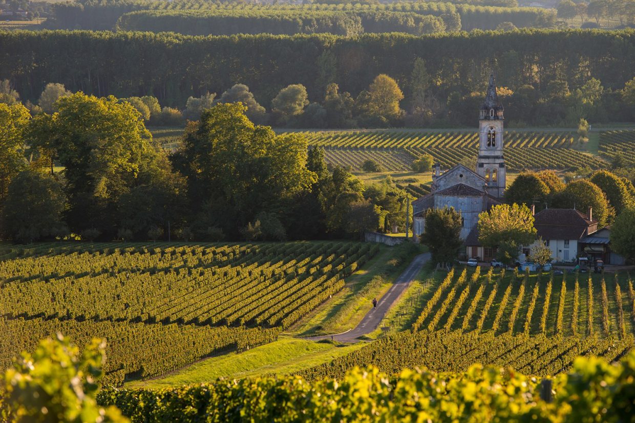 wine trips to france